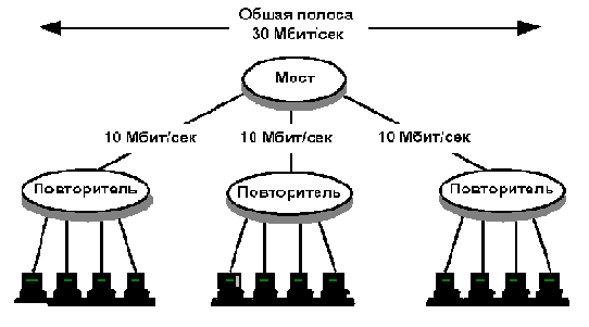 Коммутаторы Ethernet Начальные сведения